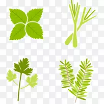 香草香料下载-蔬菜集-空若网 香草香料下载-蔬菜集-空若网