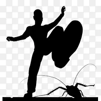 蟑螂摄影首屈一指的害虫防治-蟑螂-空若网 蟑螂摄影首屈一指的害虫防治-蟑螂-空若网