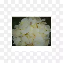 培根和卷心菜食谱缩略图旁菜-培根-空若网 培根和卷心菜食谱缩略图旁菜-培根-空若网