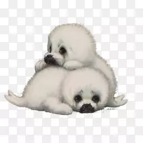 ��Ȯ�޶�����-������