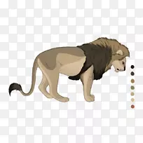 狮子猫陆生动物野生动物-狮子-空若网 狮子猫陆生动物野生动物-狮子-空若网