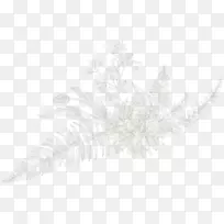 线艺术-线-空若网 线艺术-线-空若网