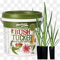 ��ʲ�����ˡ����غͰ����ز�ֲ�ﻨ��-����צͼ-������