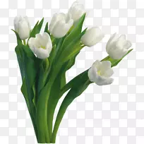 �����л������㻨-������