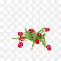 �л�������ֲ��������꣬��ʵ-������