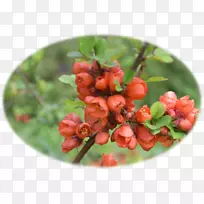 ÒøÉ«Ë®Å£ºìÀ±½·¸²Åè×Ó²ÝÝ®¸²Åè×Ó-¿ÕÈôÍø ÒøÉ«Ë®Å£ºìÀ±½·¸²Åè×Ó²ÝÝ®¸²Åè×Ó-¿ÕÈôÍø