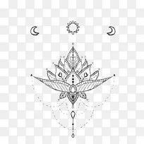 ϸ֦�Գ���������ͼ����-������