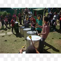 休闲树-树-空若网 休闲树-树-空若网