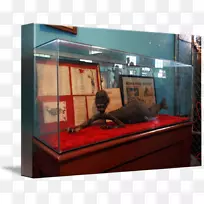 展示柜玻璃牢不可破-空若网 展示柜玻璃牢不可破-空若网