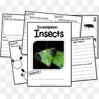 ֽ�����漼������-������