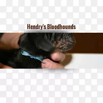 С¹··±Ö³±Ç×Ó-С¹·-¿ÕÈôÍø С¹··±Ö³±Ç×Ó-С¹·-¿ÕÈôÍø