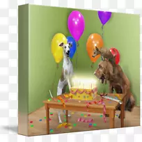 生日祝福礼物派对快乐-生日-空若网 生日祝福礼物派对快乐-生日-空若网