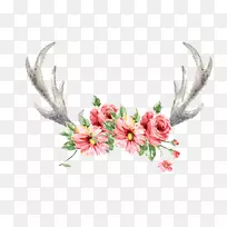 Ұ��¹��.�ֻ�¹��-������