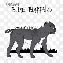 犬种非体育团体猫鼻子猫-空若网 犬种非体育团体猫鼻子猫-空若网