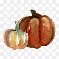 南瓜水彩画.手绘水彩画南瓜-空若网 南瓜水彩画.手绘水彩画南瓜-空若网