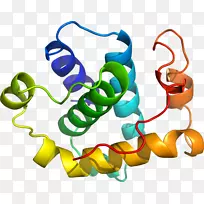 ���������л����߼�������-������