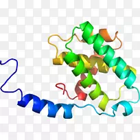 生物线动物剪贴画线-空若网 生物线动物剪贴画线-空若网