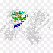 艺术身躯珠宝树线剪贴画-树-空若网 艺术身躯珠宝树线剪贴画-树-空若网