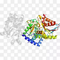 Ê÷Ïß¼ôÌù»-Ê÷-¿ÕÈôÍø Ê÷Ïß¼ôÌù»-Ê÷-¿ÕÈôÍø