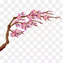 ӣ��-��ԵЧӦ-������