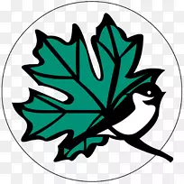 树木绿色开花植物剪贴画-树-空若网 树木绿色开花植物剪贴画-树-空若网