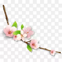 花图标-美丽的创意李枝-空若网 花图标-美丽的创意李枝-空若网