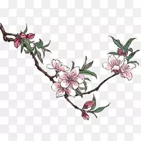 桃花插画艺术-梅花创意卡通图片-空若网 桃花插画艺术-梅花创意卡通图片-空若网
