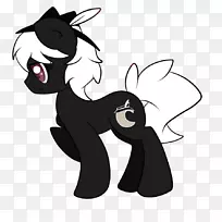 猫科动物-空若网 猫科动物-空若网