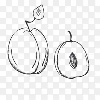 桃花图案设计-简单李子-空若网 桃花图案设计-简单李子-空若网