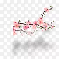 ÌÒ»¨¼ôÌù»-÷»¨-¿ÕÈôÍø ÌÒ»¨¼ôÌù»-÷»¨-¿ÕÈôÍø