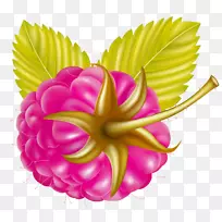 水果剪贴画-卡通梅花-空若网 水果剪贴画-卡通梅花-空若网