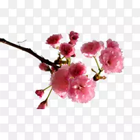 ӣ��÷����-������