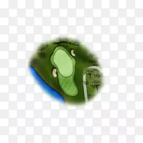 绿叶设计-空若网 绿叶设计-空若网