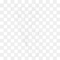 开花植物手指线字型树-空若网 开花植物手指线字型树-空若网