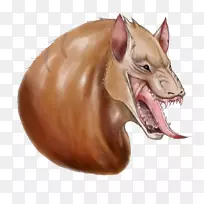 ������ʳ��-������