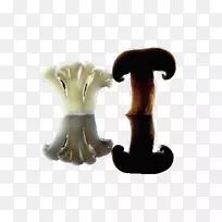 背景轻蔬菜.背景轻蔬菜-空若网 背景轻蔬菜.背景轻蔬菜-空若网