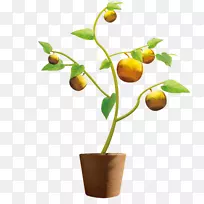 ¸Ì½Û»¨Åè-¿ÕÈôÍø ¸Ì½Û»¨Åè-¿ÕÈôÍø