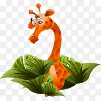 ��������¹��ɫ��������ɫ��ͨ����¹-������