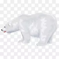 北极熊毛皮野生动物鼻子-北极熊PNG-空若网 北极熊毛皮野生动物鼻子-北极熊PNG-空若网