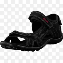 Զ��ѥЬ���н���ѵ��.ȫ����-������