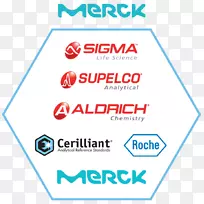 ���ʰ�֢�������ϻ���ʰ�֢�о�����ͨ�ü��ɵ�·��-Ĭ�˹�˾�ձ�-������