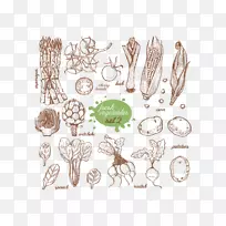 蔬菜食品插图-蔬菜避免绘画-空若网 蔬菜食品插图-蔬菜避免绘画-空若网