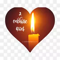 �����ֽ���԰��������-������