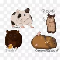 仓鼠计算机鼠标动物鼻子食肉-计算机鼠标-空若网 仓鼠计算机鼠标动物鼻子食肉-计算机鼠标-空若网