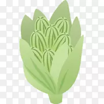 富贵蔬菜耐寒养殖三思图-涂上绿色蔬菜-空若网 富贵蔬菜耐寒养殖三思图-涂上绿色蔬菜-空若网