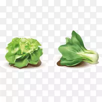 Éú²Ë.ÓÍÆáÊß²Ë-¿ÕÈôÍø Éú²Ë.ÓÍÆáÊß²Ë-¿ÕÈôÍø