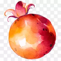 ˮ���߲˻�ͼ.�ֻ�ˮ�����߲�-������