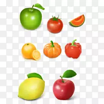 ����â��ƻ������-�߲˺�ˮ�����ռ�һ����һ�Ĵ���-������