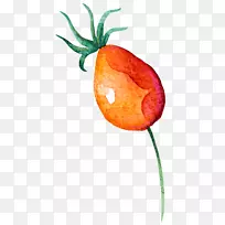 蔬菜水果瓜子.手拉水果和蔬菜-空若网 蔬菜水果瓜子.手拉水果和蔬菜-空若网