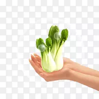 ˮ��ͼ�����������ֽ.����Ⱦ��ɫ�߲�-������